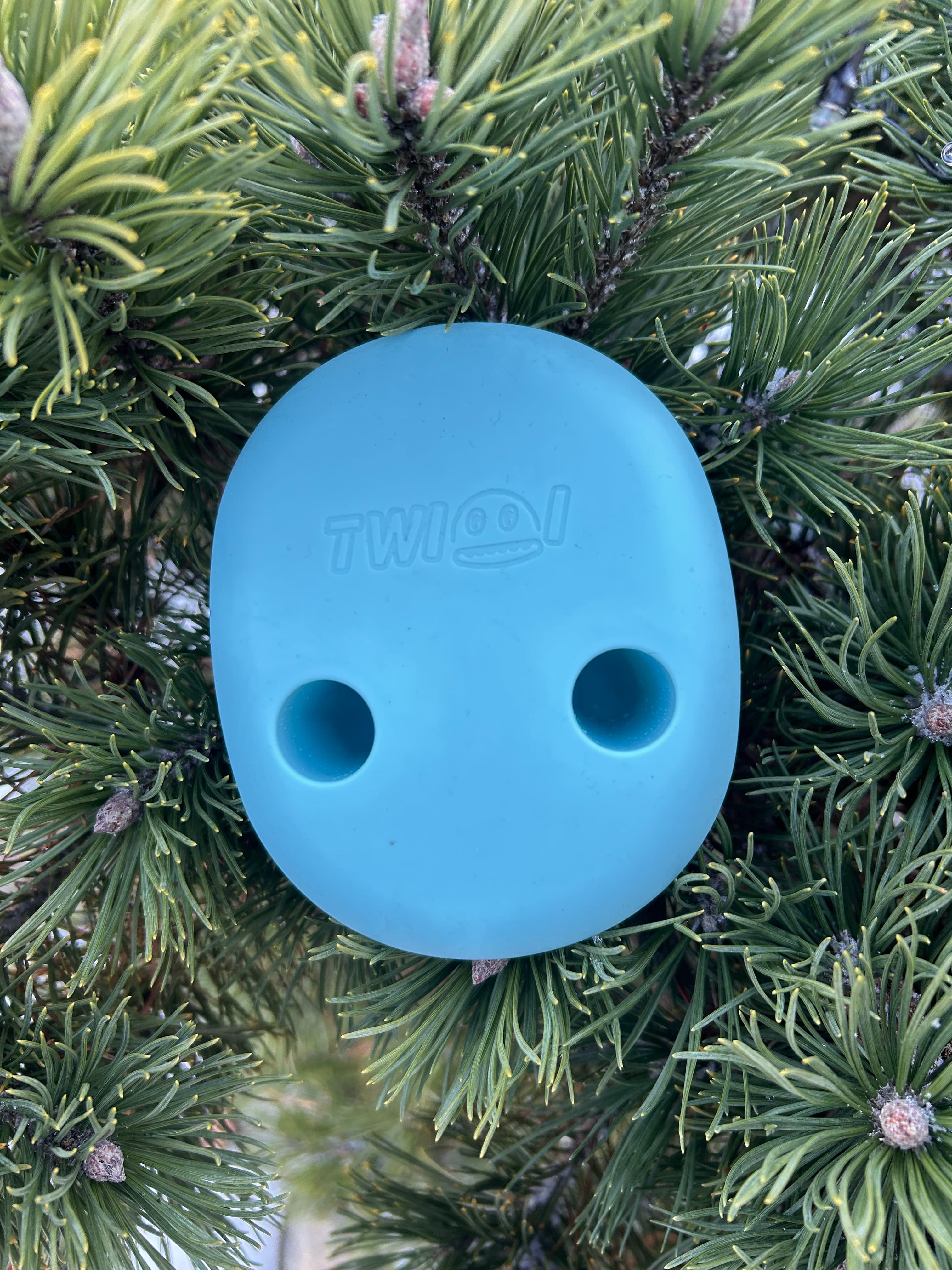 Walentynkowy zestaw Twiggi