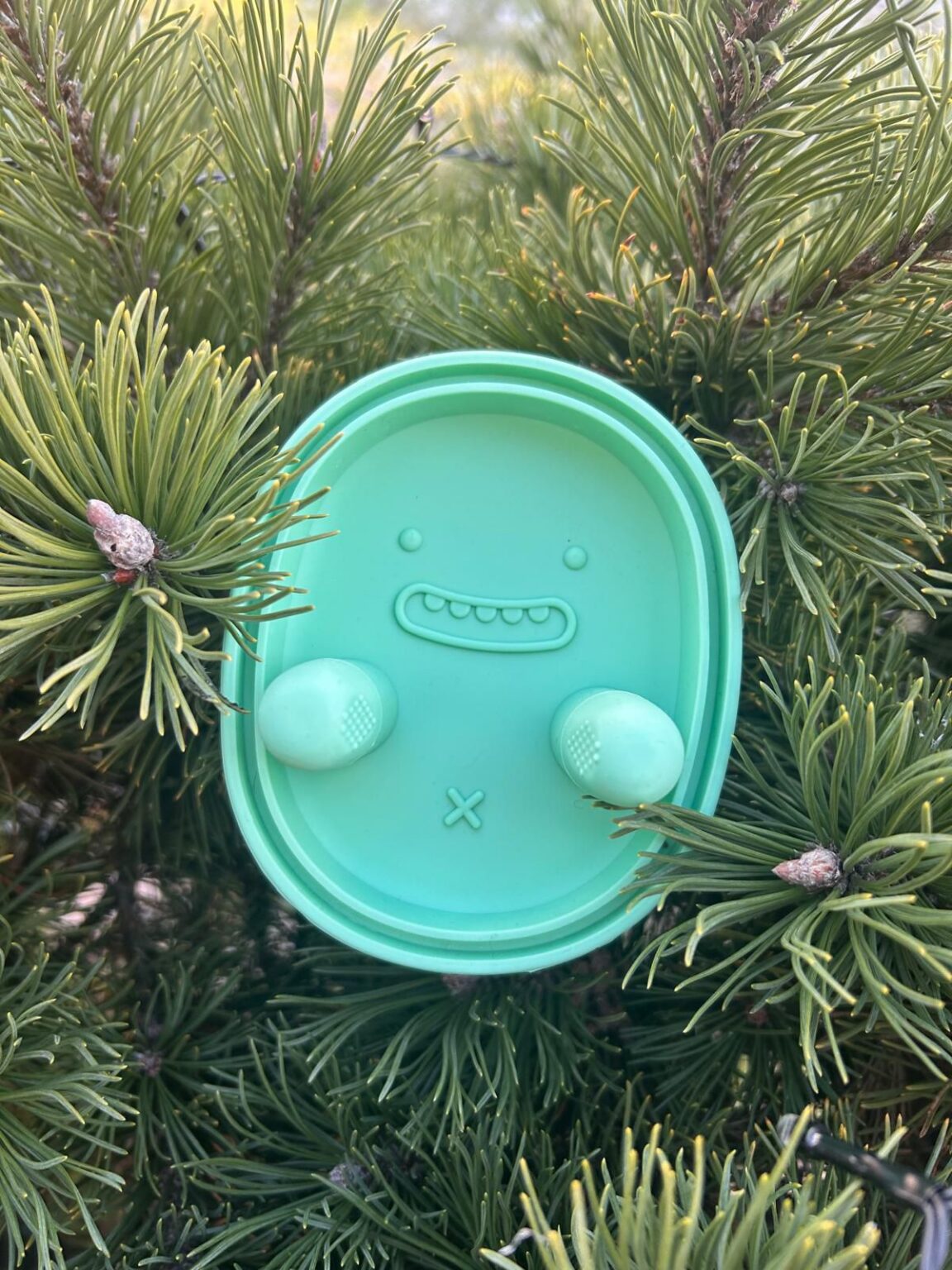 WhatsApp Image 2026-01-20 at 18.34.16 (3)